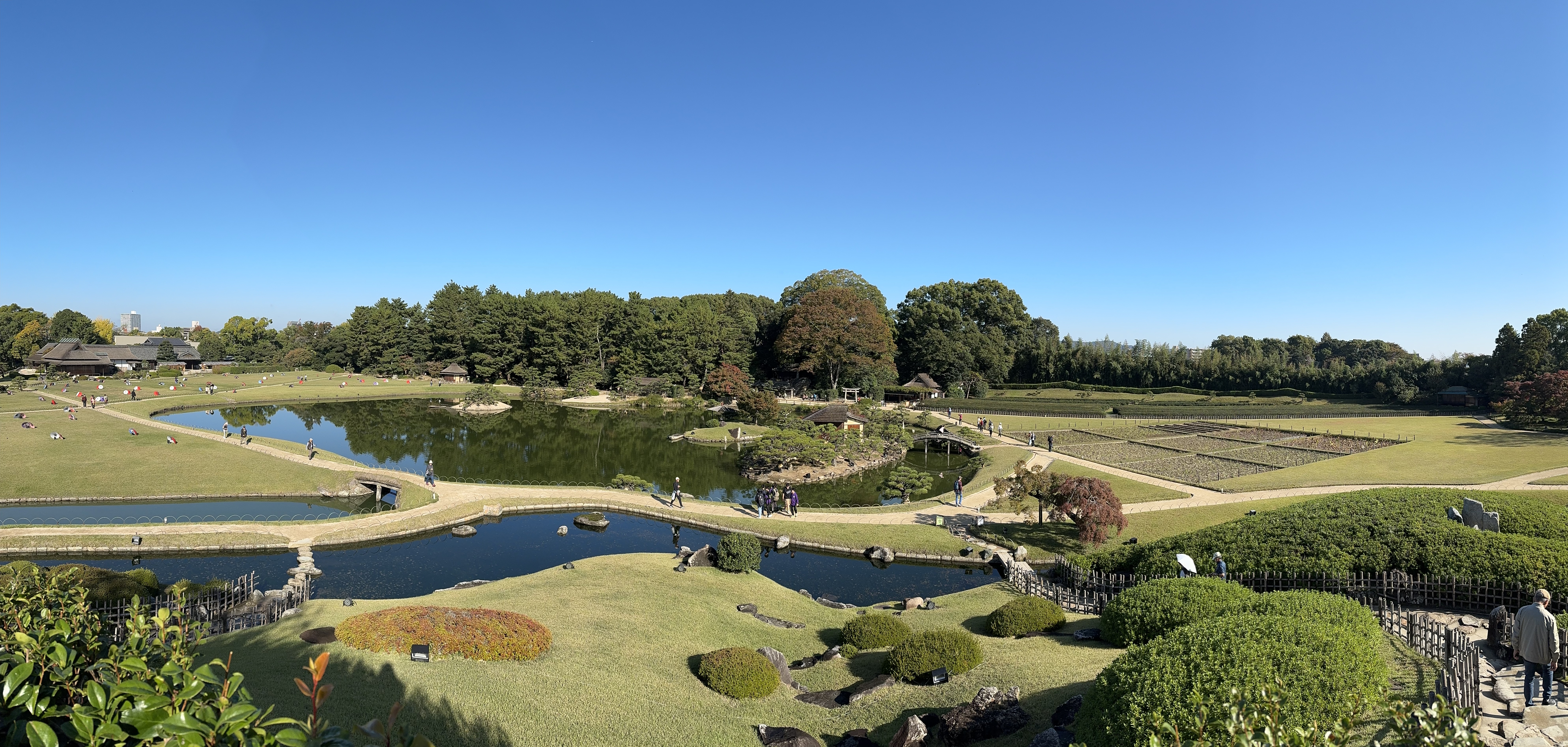 Traditional Japanese garden scene